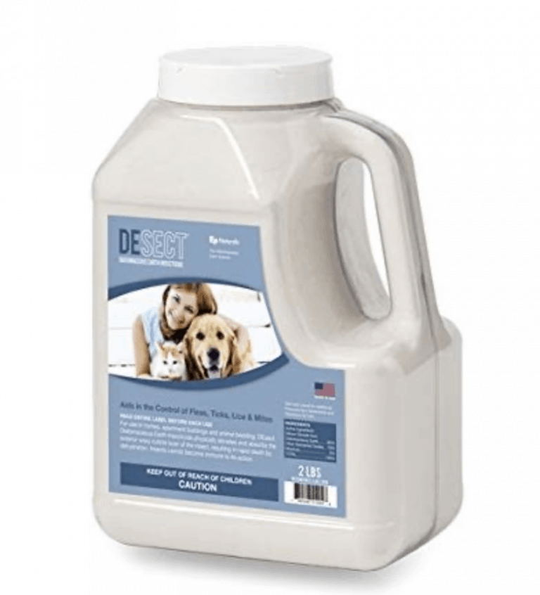 9 Ways to Kill Termites Naturally that Actually Work Guide