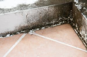 Tile mold and mildew