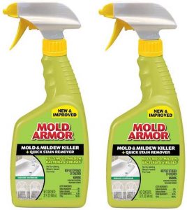 bathroom mold removal cleaner