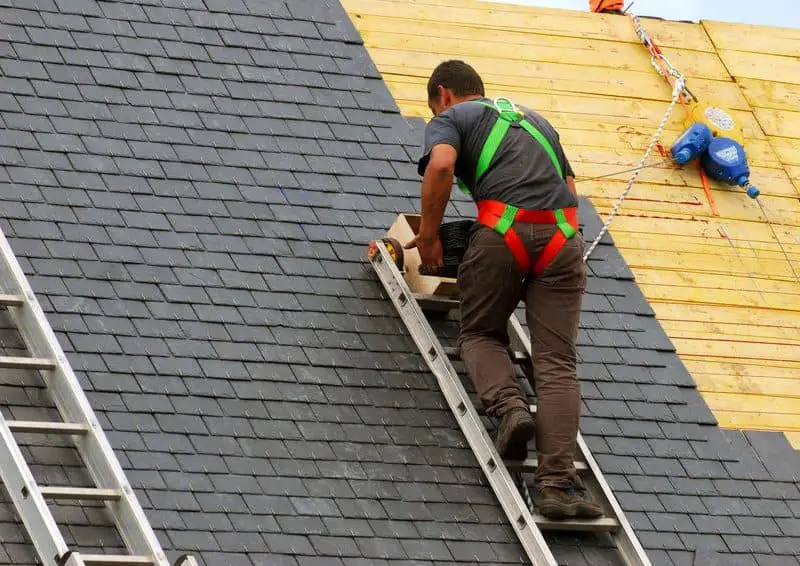 safety harness roofing
