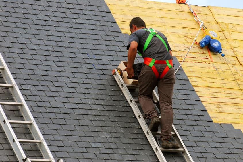 safety harness roofing