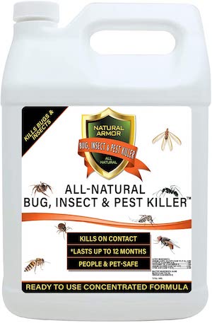 all natural bug killer