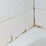 bathroom tile mold