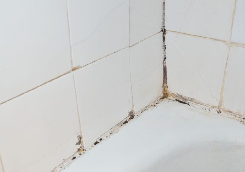 bathroom tile mold