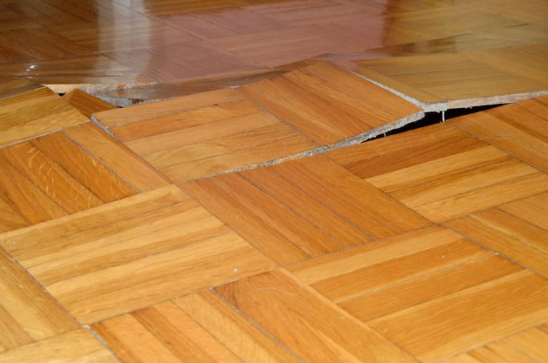 Water Under Laminate Flooring Everything You Should Know Expert Home