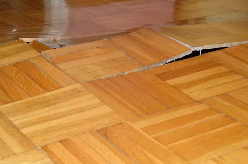 Water Under Laminate Flooring, What Happens When Laminate Floor Gets Wet And Dry Out