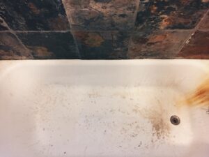 shower mold growth