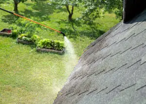 remove algae from roof