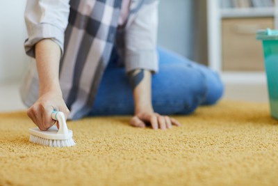 deodorize the carpet naturally