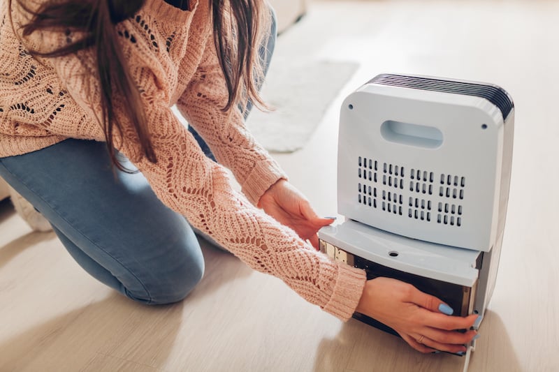 Dehumidifier in Crawl Space