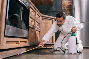 how frequent should you do pest control