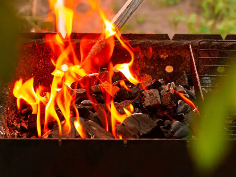 2021 Best Backyard BBQ Charcoal Grill