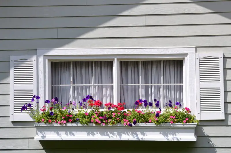 Why Every Home Deserves Energy-Efficient Windows