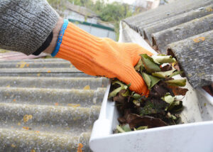 Gutter Cleaning Tips