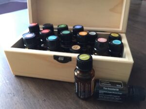 oils to repel spiders