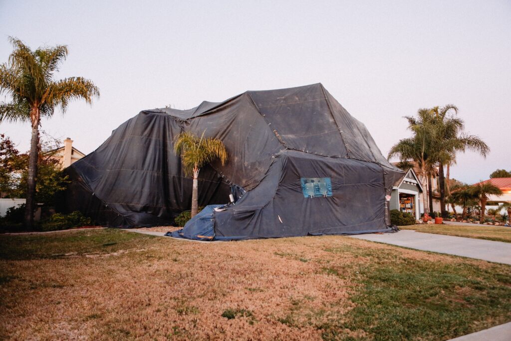 Foggers For Bugs Do They Really Work? Expert Home Report