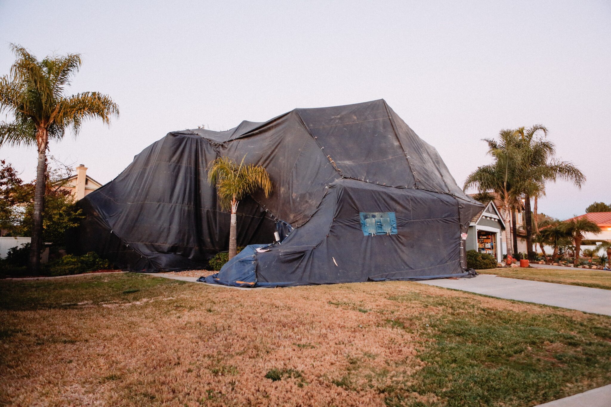 Foggers For Bugs Do They Really Work? Expert Home Report