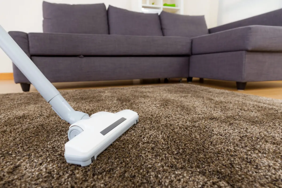 Upright Self Cleaning Vacuum