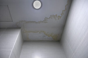 What is the difference between mold & mildew