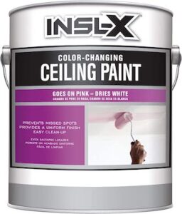 paint repairing garage ceiling