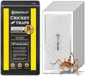 cricket traps ways to get rid of crickets