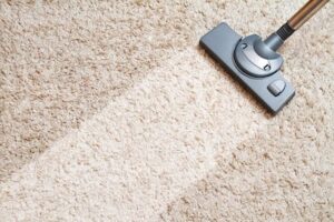 Best Vacuum Cleaner for Area Rugs for 2022