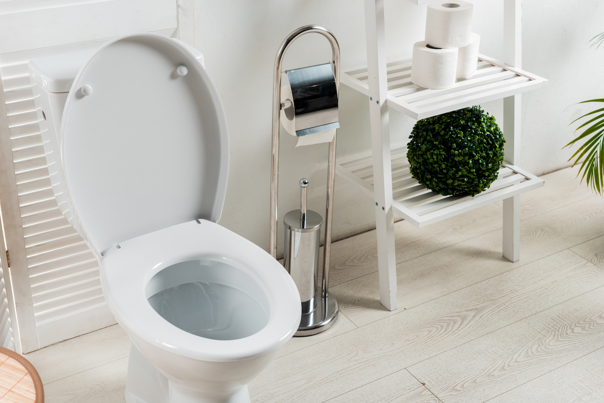 Best Toilets And Toilet Accessories For Tall People
