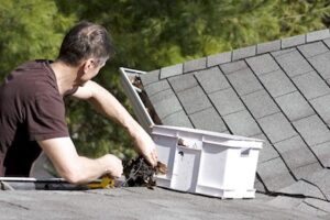 professional roof tips clean gutters