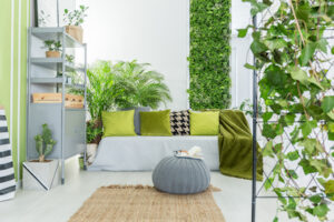 Upgrade Your Home's Traditional Decor with natural plants in living room