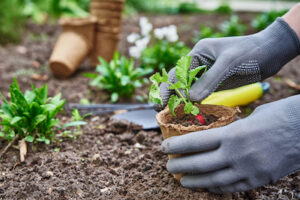 person gardening for health benefits