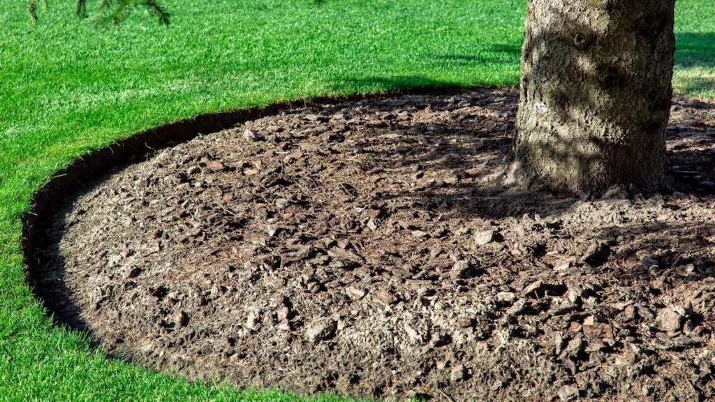 Home DIY Guide for Tree Mulching Expert Home Report