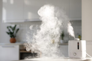How to take care of Your Home's Humidifier