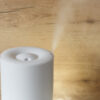 How to Clean and Take Care of Your Home's Humidifier