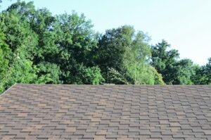 Preparing Your Roof for the Worst Weather