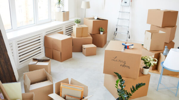 15 DIY Tips for an Easy House Move