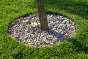 Tree Mulching guide