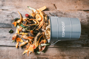 How to Make Your House More Eco-Friendly With Sustainable composting