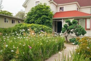 Ornamental Grasses Home Garden DIY Guide