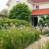 Ornamental Grasses: Your DIY Guide for a Stunning Home Garden