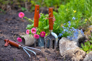 How to Keep Your Garden Healthy