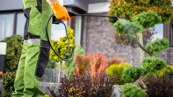 How to Best Remove Common Pests in the Midwest