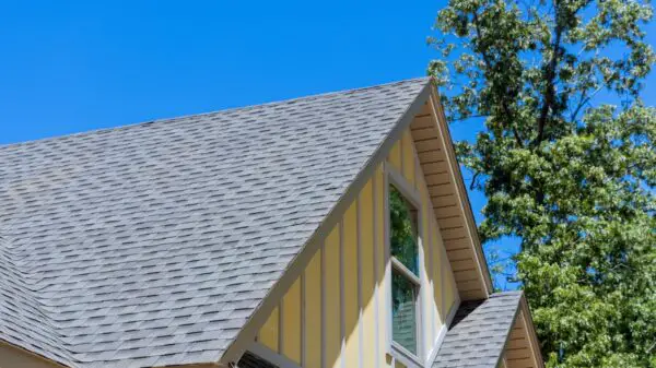 The Ultimate Guide to Understanding and Preventing Roof Leaks