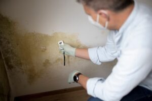 Questions to Ask a Home Inspector Before Hiring Them