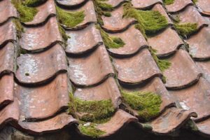 Roof Cleaning Mistakes to Avoid