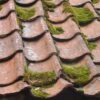 Expert Tips Roof Cleaning Mistakes to Avoid
