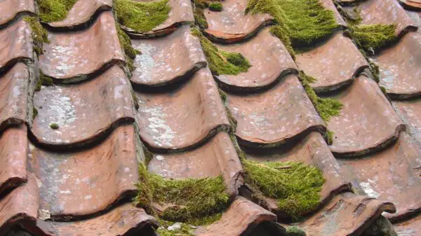 Expert Tips Roof Cleaning Mistakes to Avoid