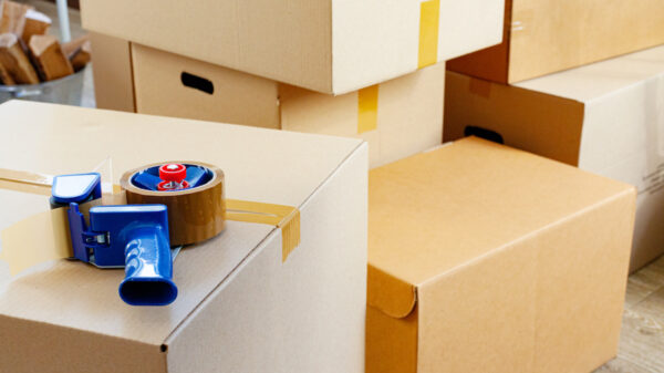 Enhancing Your New Home: Home Improvement Tips for a Seamless Move with Professional Moving Services