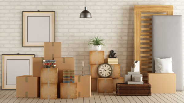 Mastering the Art of DIY: Home Improvement Tips with the Expertise of Interior Designer Movers