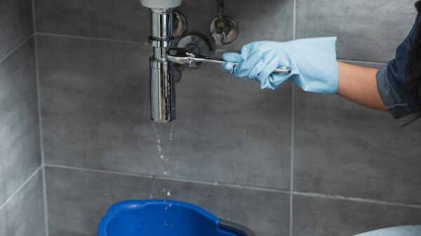 Common Summer Plumbing Issues and How to Avoid Them