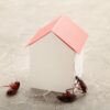 Pest Control: Identifying and Preventing Common Household Pests